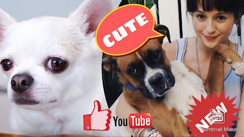Omg So Cute Dog video, funny Dog , puppy video, Dog new video 2021