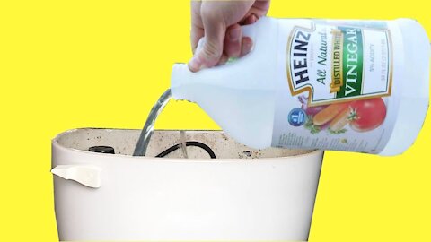 How To Easley Clean Toilet With Vinegar, No Harsh Chemicals