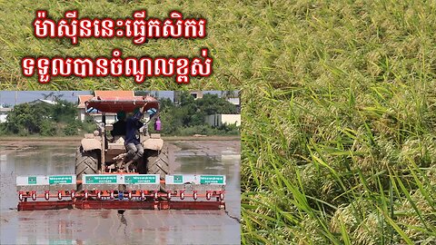 បច្ចេកទេសថ្មីដែល កសិករទទួលបានចំណូលខ្ពស់