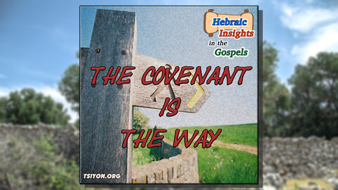 Matthew 15 - The Covenant Is The Way - HIG Episode 15
