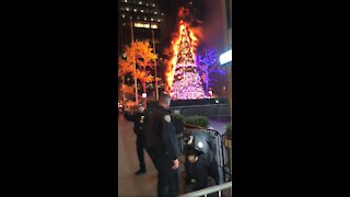 Fox Square Christmas tree burned in fire, suspect arrested