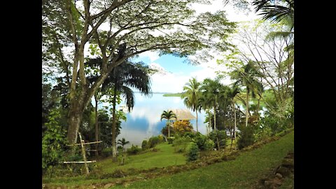 Green Acres Chocolate Tour, Bocas del Toro, Panama, February 2017