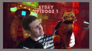 CATS DONT DESERVE THIS! Stray Walkthrough Ep 1