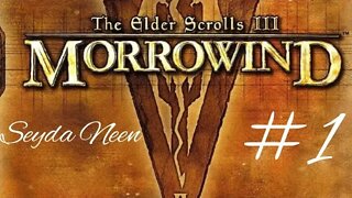ESIII Morrowind "Arriving in Seyda Neen"