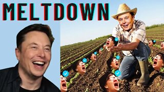 Elon Musk is Causing Liberals to MELTDOWN on Twitter!