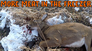 More Meat In The Freezer