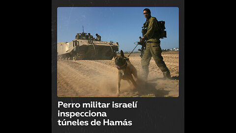 Perro militar israelí inspecciona túneles de Hamás