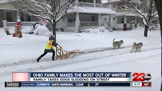 Check This Out: Ohio dog sled team