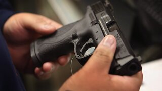 Virginia Lawmakers Abruptly End Gun Law Debate