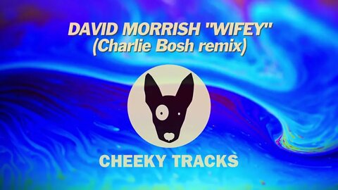 David Morrish - Wifey (Charlie Bosh remix) (Cheeky Tracks) OUT NOW