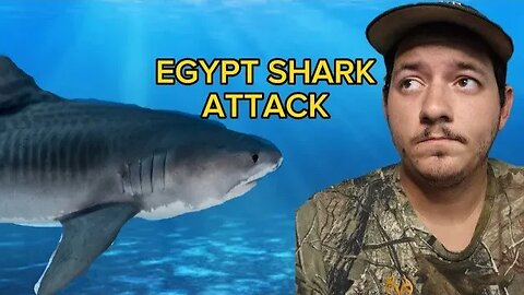 Tiger Shark Attacks Russian Tourist in Egypt