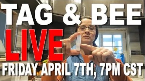 -TAG AND BEE LIVE FRIDAY 7PM CST
