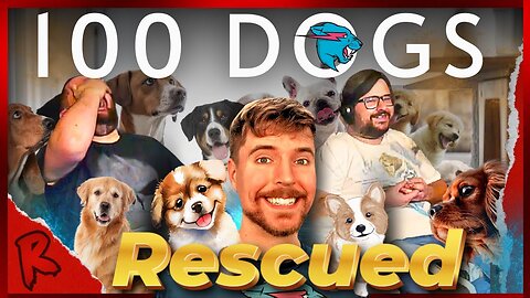 I Rescued 100 Abandoned Dogs!