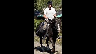 Horse Riding in Japan