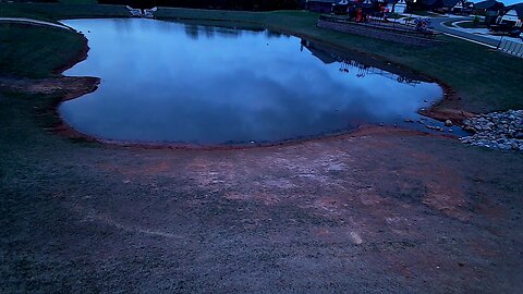 The Pond