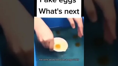 Egg