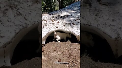 snow cave in July