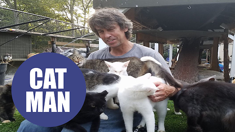 Man transforms his home into sanctuary for 300 abandoned cats