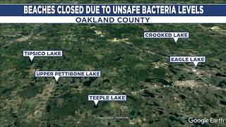Multiple beaches in Michigan closed due to high bacteria levels