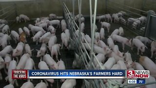 Coronavirus Hits NE's Farmers Hard
