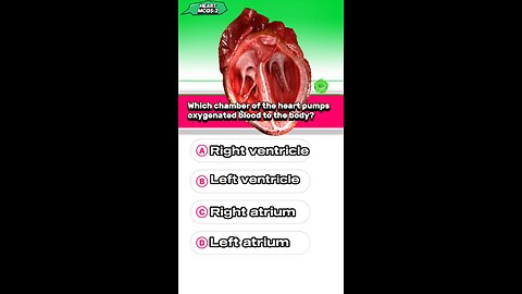Heart question answer mcqs #disease#pharmacologyexam #3dmedico #anatomy #heartattack #blood ❤️