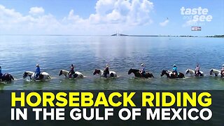 Saddle up for horseback riding on the beach | Taste and See Tampa Bay