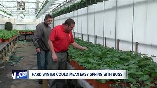 WNY's long winter could decrease spring pests