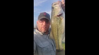 Big bass in a pond with no fish.