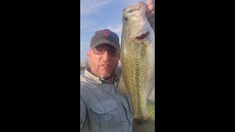 Big bass in a pond with no fish.