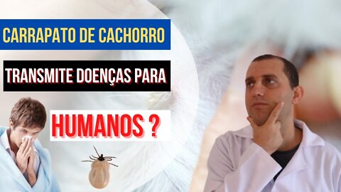 Carrapato de cachorro pode transmitir doenças para seres humanos ?