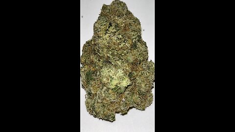 Tropical Diesel