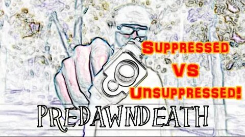 Suppressed VS Unsuppressed! Sound Comparison!