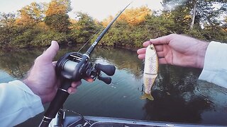 What Happens When a BIG Fish and a GLIDE BAIT Meet...