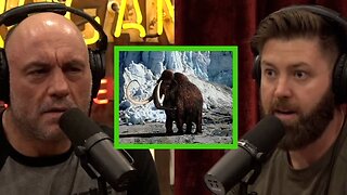 The Company Trying to Clone Woolly Mammoths