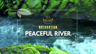 Relax and Unwind with the Soothing Sounds of a River - Aquatic Meditation