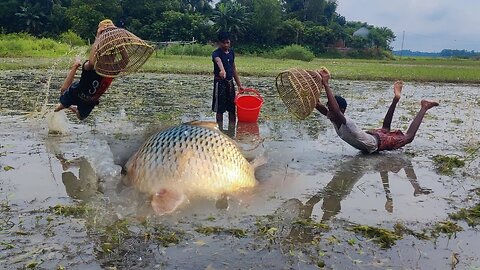 Best Polo Fishing Video😒Amazing Village 2 Boys Many Fish Hunting Flood Water🥵Village Group Fishing