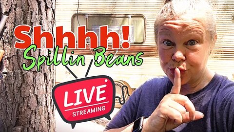 SHHHHH, Spillin’ Beans Live, Free Camper, Single Woman Builds Tiny House in the Woods