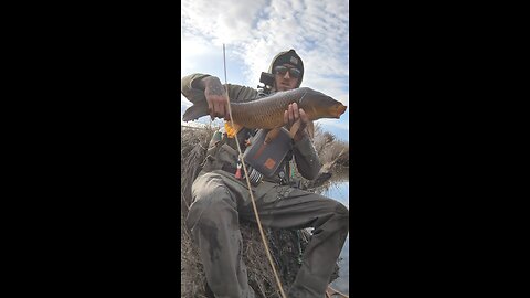 Eastern Washington Carp Fly Fishing