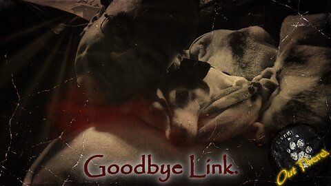Goodbye Link. - Out There!