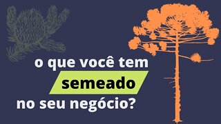 O que você tem semeado em seu negócio e em sua vida? v01 - desafio 30 vídeos