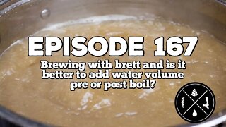 Brewing with brett and is it better to add water volume pre or post boil? -- Ep. 167