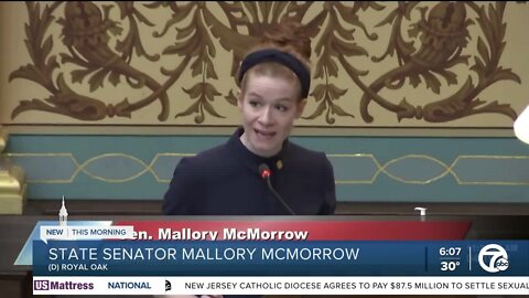 Michigan Sen. Mallory McMorrow blasts fellow Sen. Lana Theis in viral floor speech