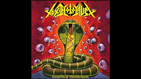 Toxic Holocaust - Chemistry Of Consciousness