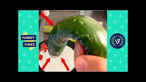 FUNNY99TEAM | "LIMP CUCUMBER 😂" | TRY NOT TO LAUGH - FUNNY VIDEOS OF THE WEEK