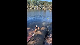 Pulling logs that’s where cut down in the late 1809