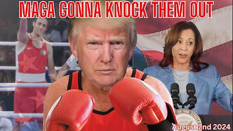 MAGA GONNA KNOCK YOU OUT