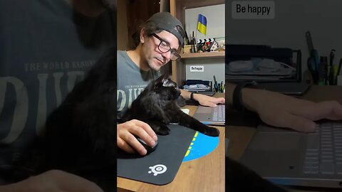 Cat human bonding / Cat nosebumps his parent