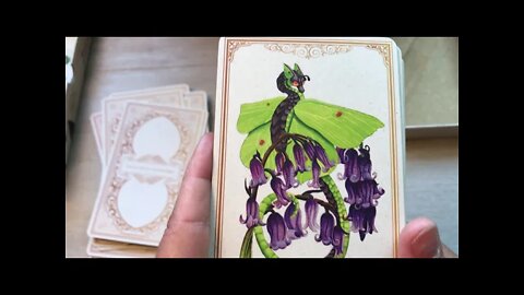 Unboxing Enchanted Blossoms Oracle by Carla Morrow