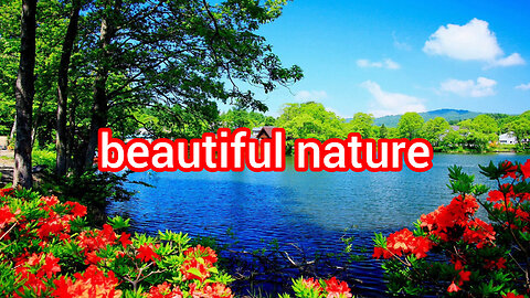 beautiful nature video