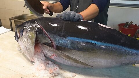 Extraordinary! Master bigeye tuna cutter - How to cut bigeye tuna for sashimi